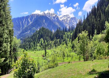 Kashmir Neelum Valley Sightseeing Trip