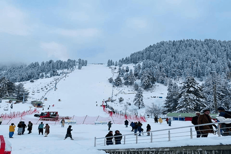 Swat Malam Jabba Tour