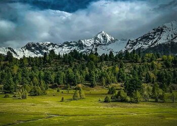 Naran Family Kaghan Trip Cost