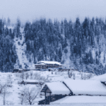 Neelum Arang Kel Travel Package