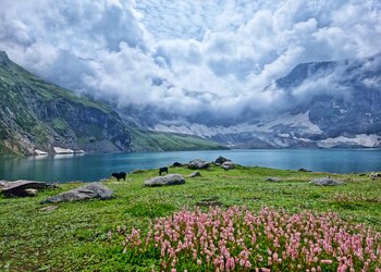 Ratti Gali Lake Tour Packages