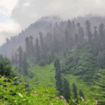 Swat Gabin Jabba Trek