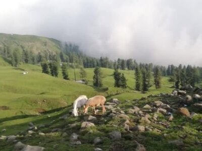 Ganga Choti Ganga Choti