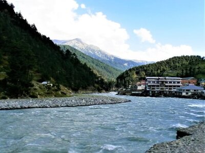 Saidu Sharif Saidu Sharif