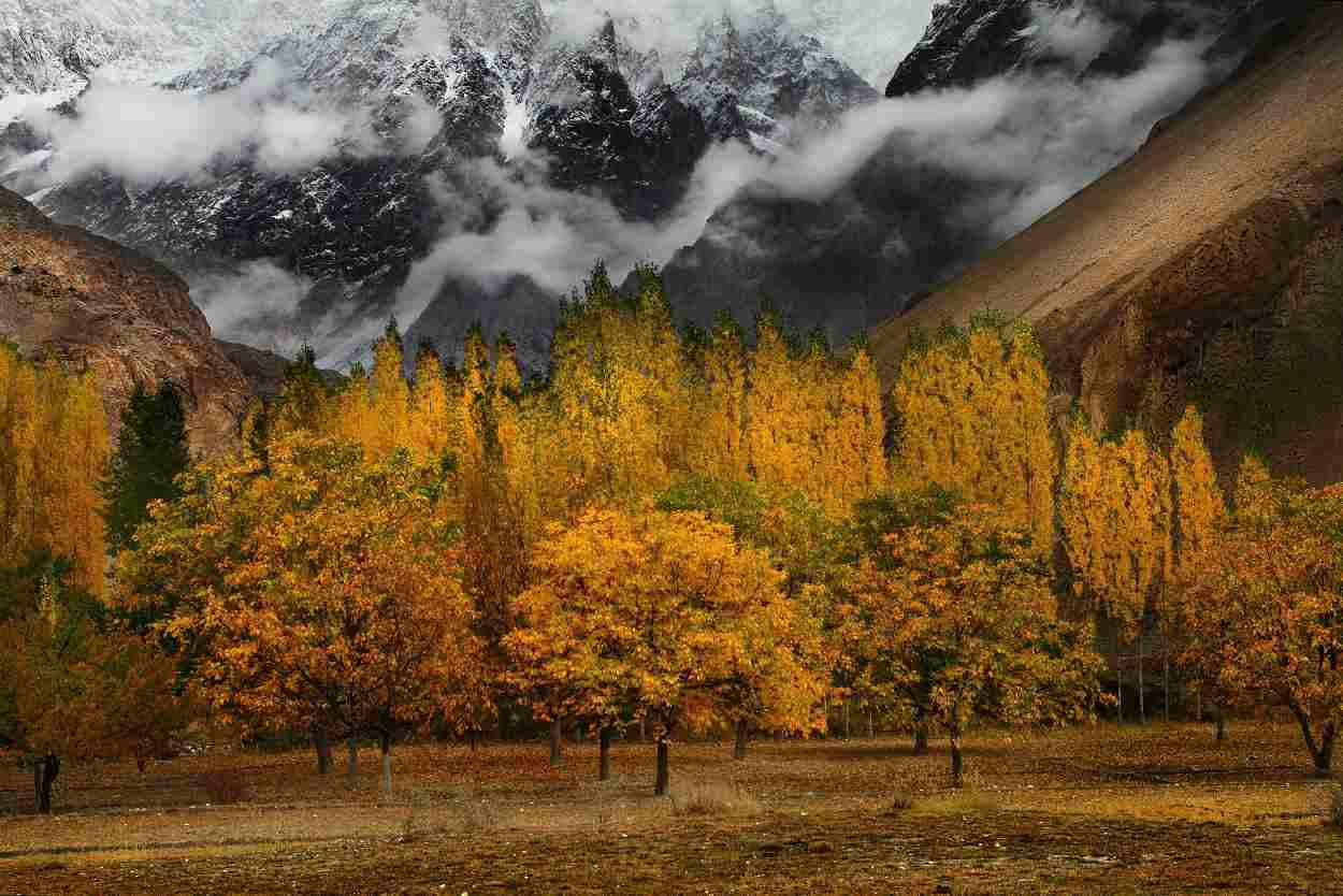 Autumn in Hunza Autumn in Hunza