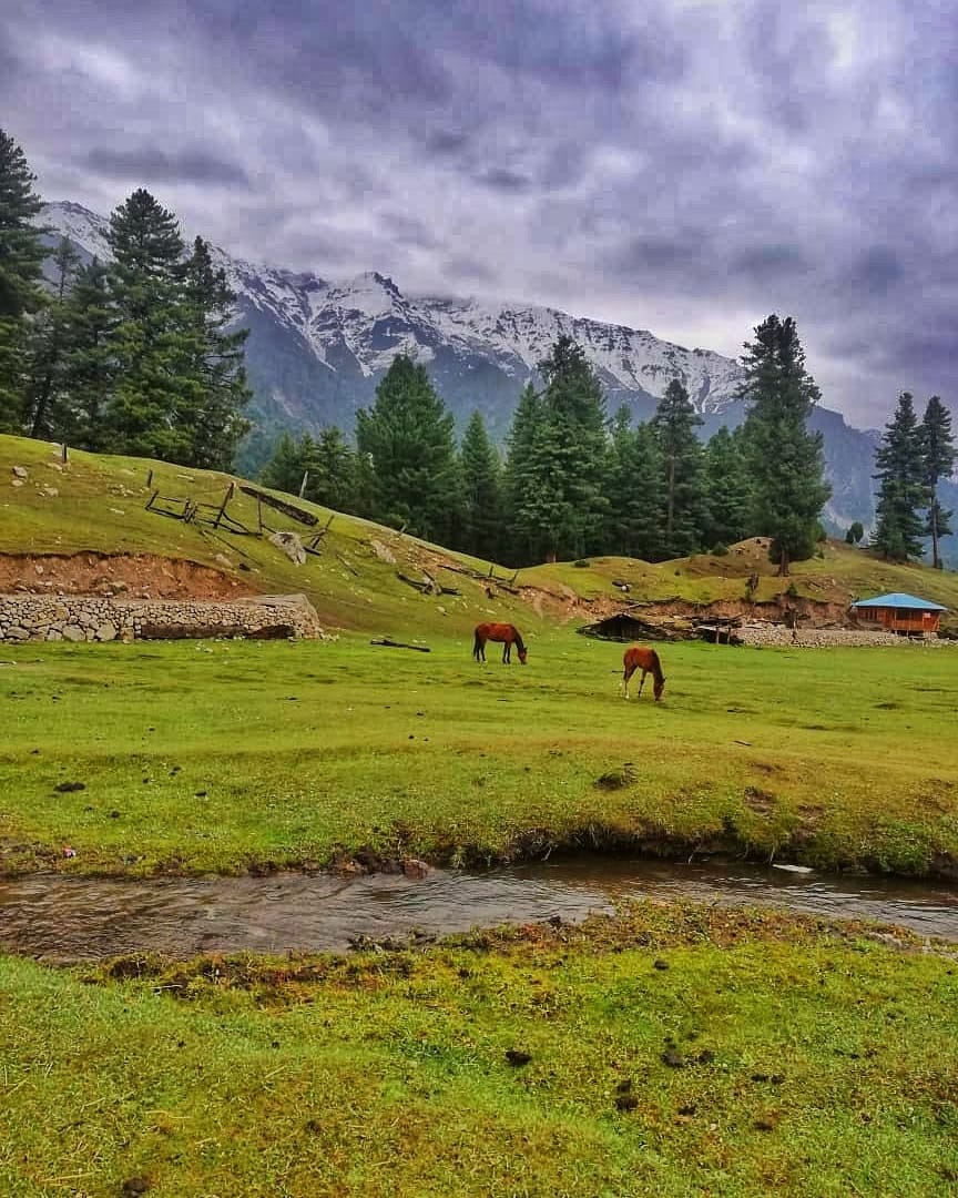 Fairy Meadows Weather Fairy Meadows Weather