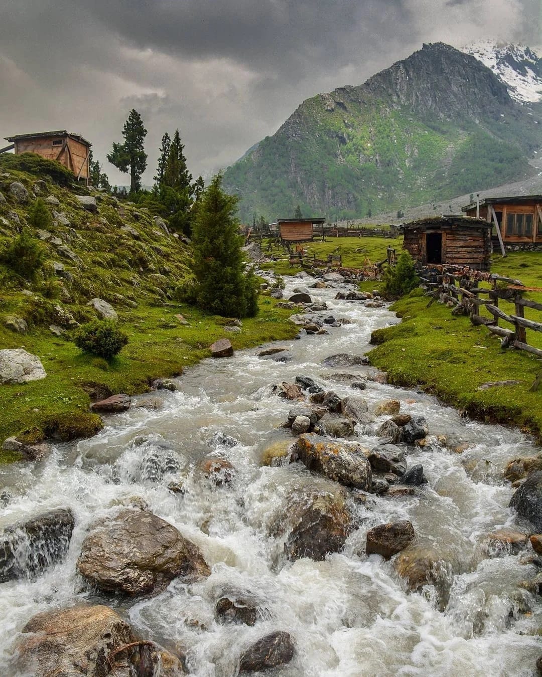 Fairy Meadows in Summer Fairy Meadows in Summer