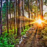 Best Places to visit in Islamabad