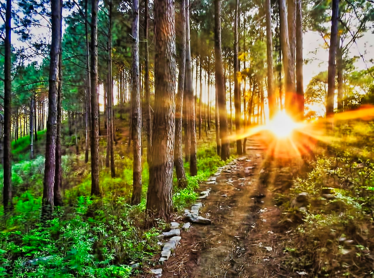 Best Places to visit in Islamabad