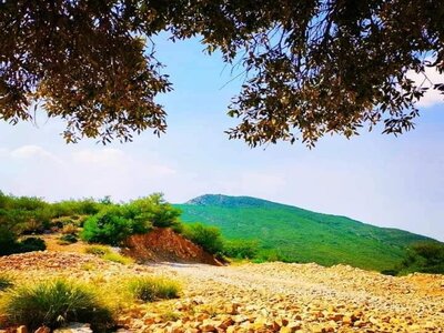 Sheikh Badin National Park Sheikh Badin National Park