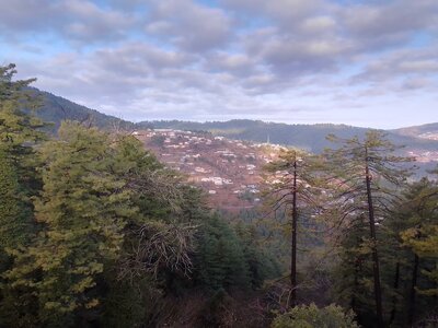 murree murree