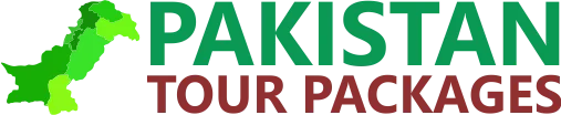PTP Pakistan Tour Logo